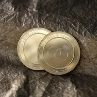 Lifestyle custom coins